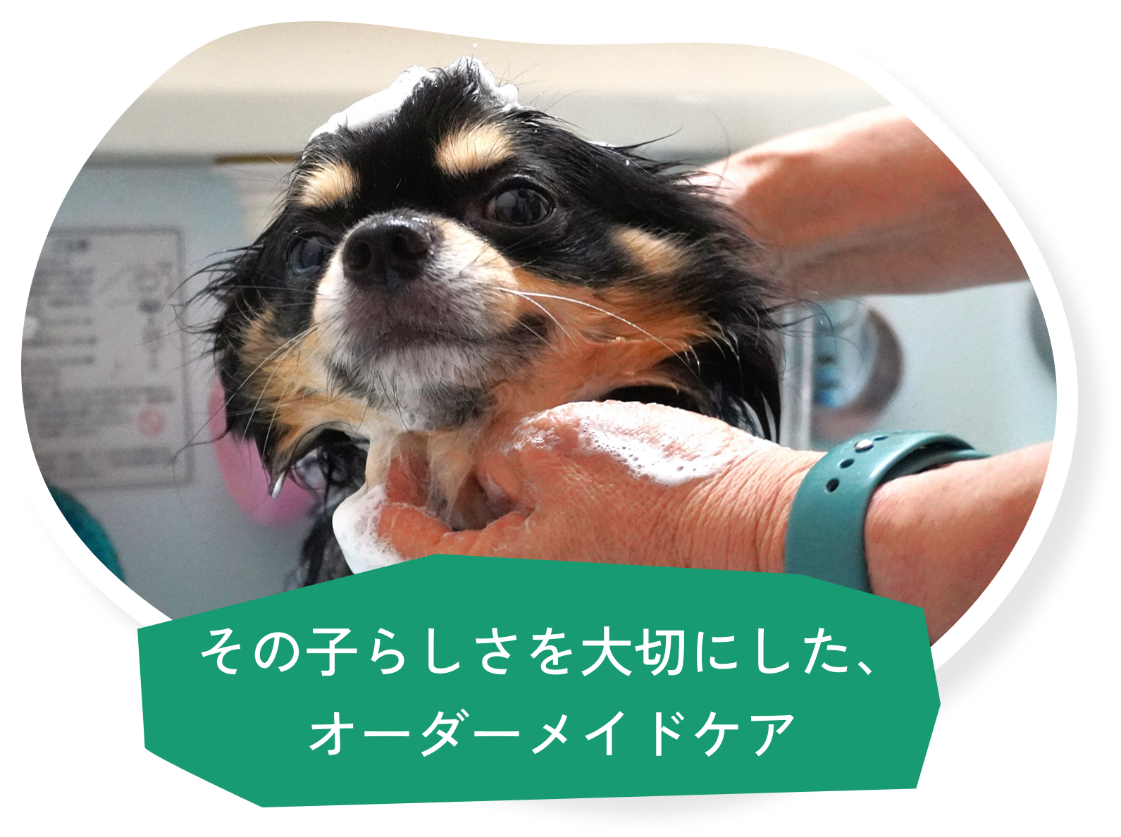 その子らしさを大切にした、オーダーメイドケア