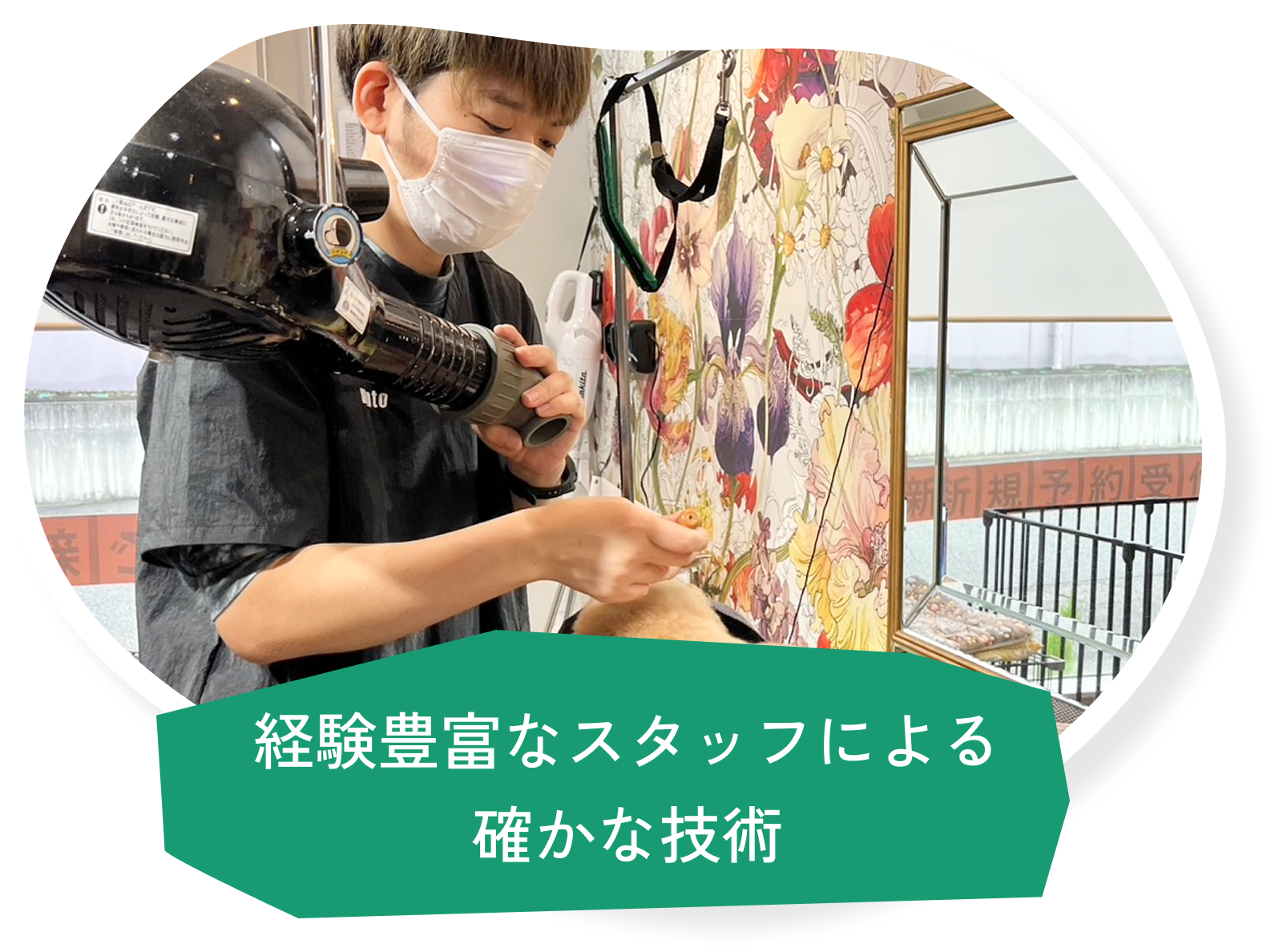 経験豊富なスタッフによる確かな技術