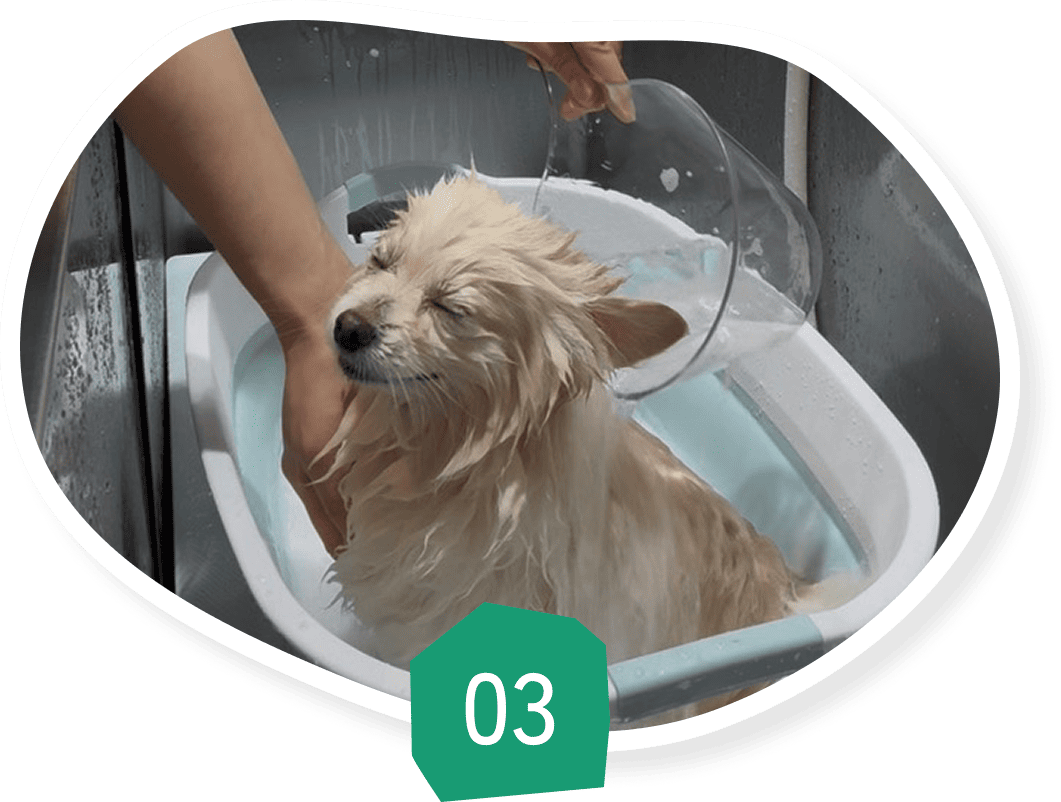 施術（シャンプー／カット）