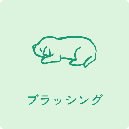 ブラッシング