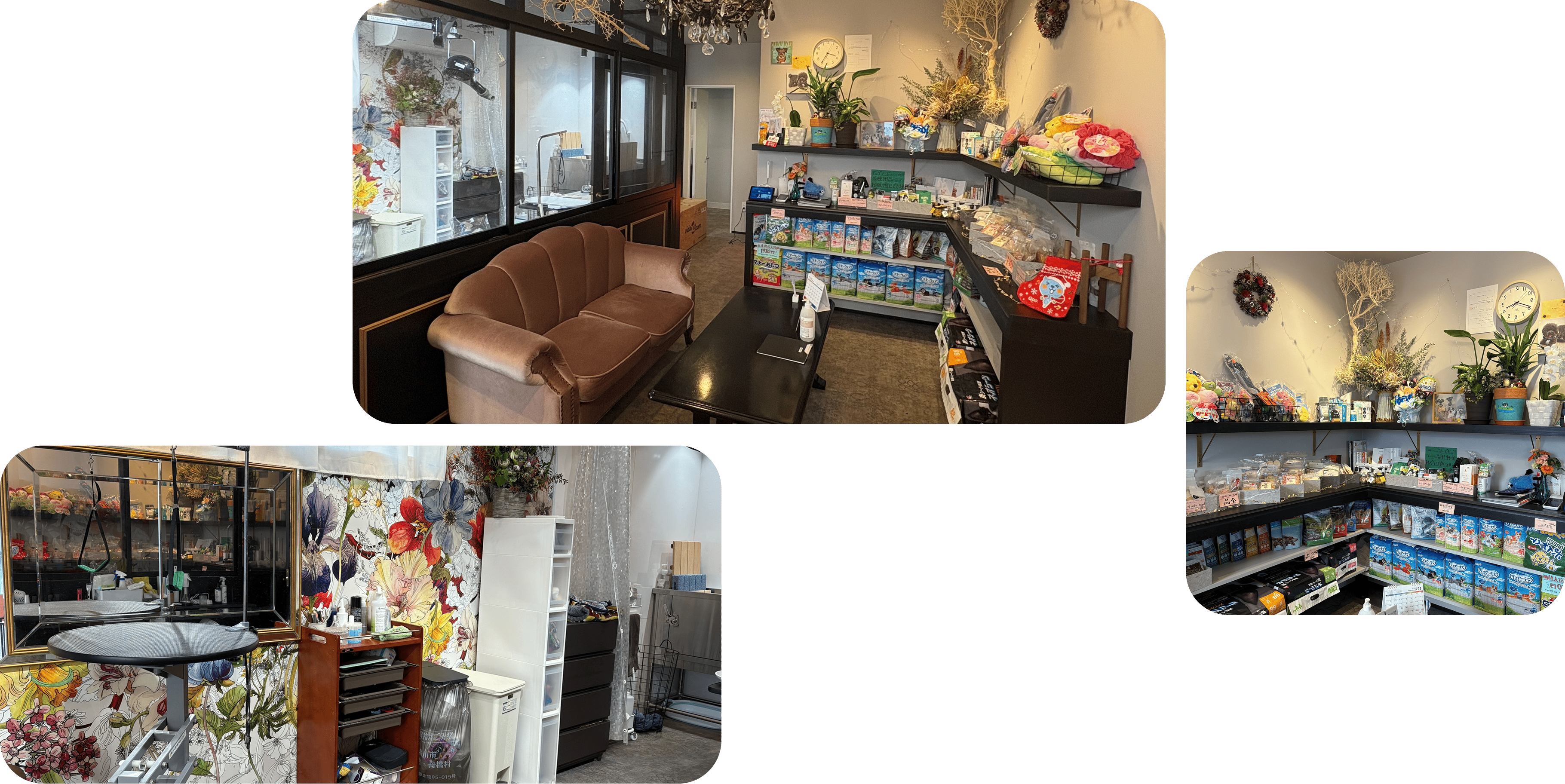 店内ギャラリー