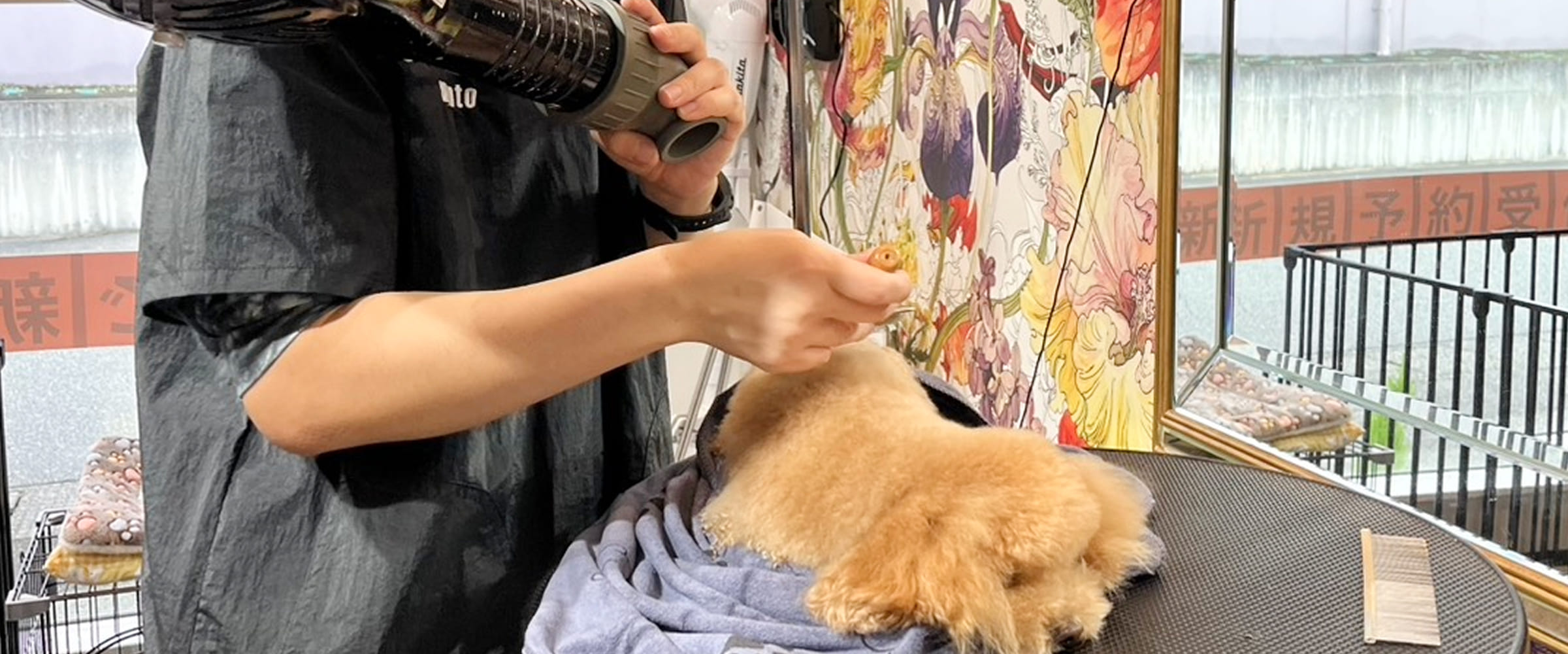 ご利用について